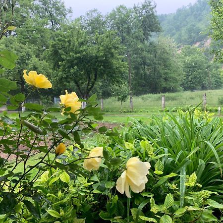 Holiday Residence Buric Visoko Esterno foto