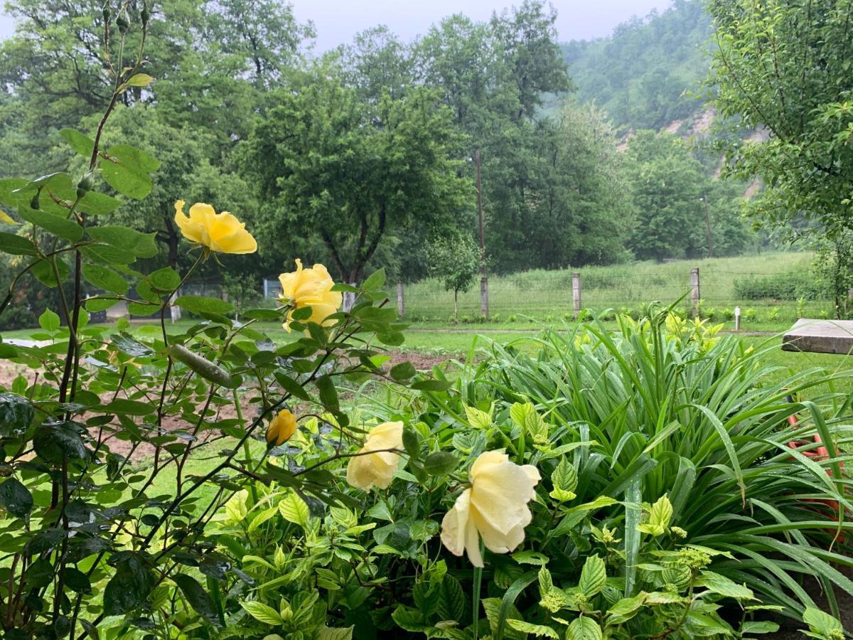 Holiday Residence Buric Visoko Esterno foto