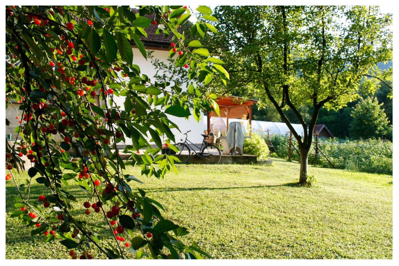 Holiday Residence Buric Visoko Esterno foto